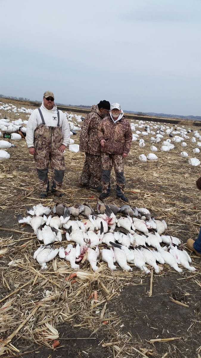 Missouri Snow Goose Hunting Photo